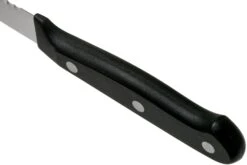 Wüsthof GOURMET Toamtenmesser 12 Cm. 1025048012 -Messerladen 3769ab09a2046fb762b33b1f0c6901ae