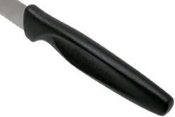 Wüsthof 1145360104 Messerset 2 St, Für Pizza/Steak 10 Cm Schwarz -Messerladen 5e5a92a08c43b397eca5763891230241