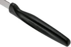 Wüsthof 1145360104 Messerset 2 St, Für Pizza/Steak 10 Cm Schwarz -Messerladen 9b3719d4965d44b96f800da5118aaacc