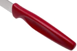 Wüsthof 1145360204 Messerset 2 St, Für Pizza/Steak 10 Cm Rot -Messerladen c4eafe6db71242b7ab3a30bff55c4f52